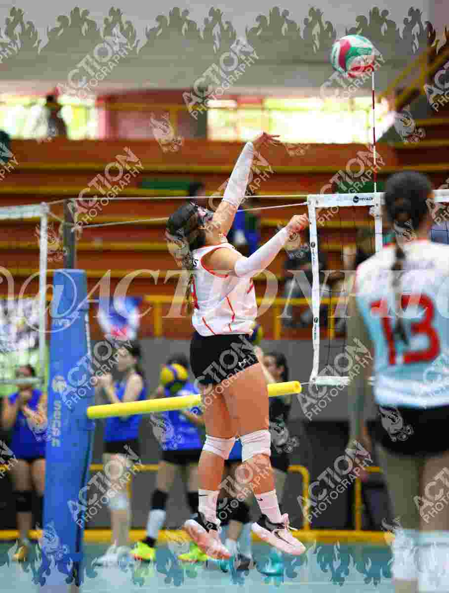 VP VOLEIBOL PEREIRA Foto 11