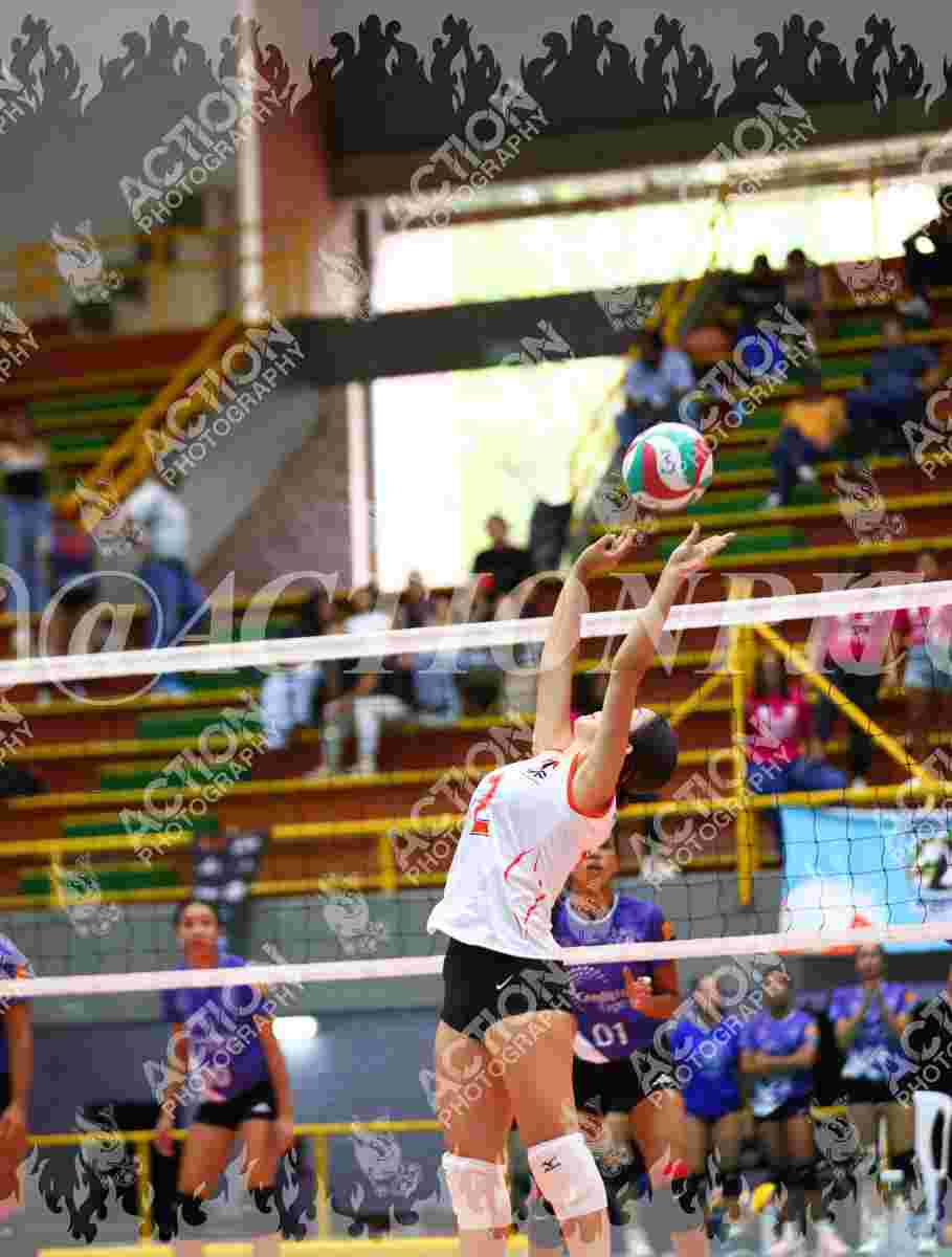 VP VOLEIBOL PEREIRA Foto 11