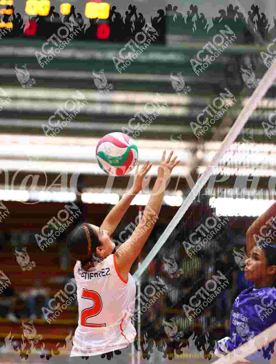 VP VOLEIBOL PEREIRA Foto 1