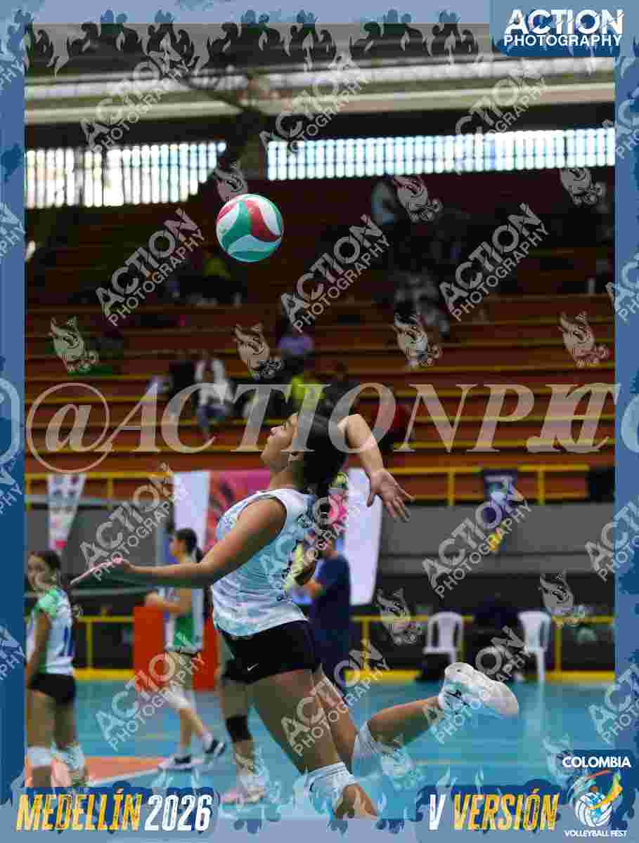 GOLDEN Foto 11