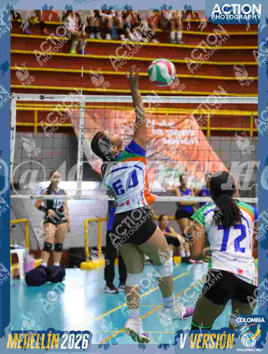 POTROS BLACK Foto 121