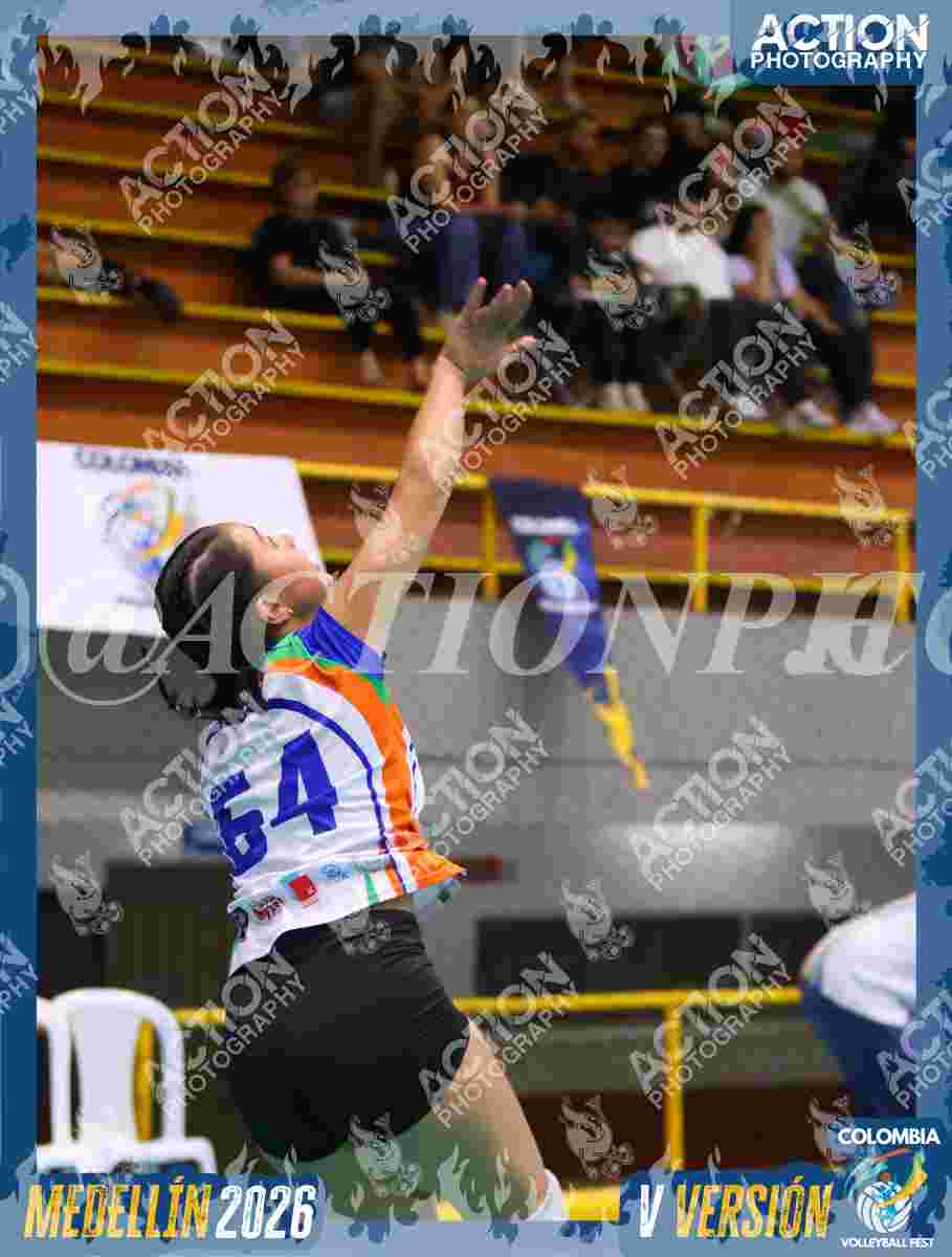 POTROS BLACK Foto 124