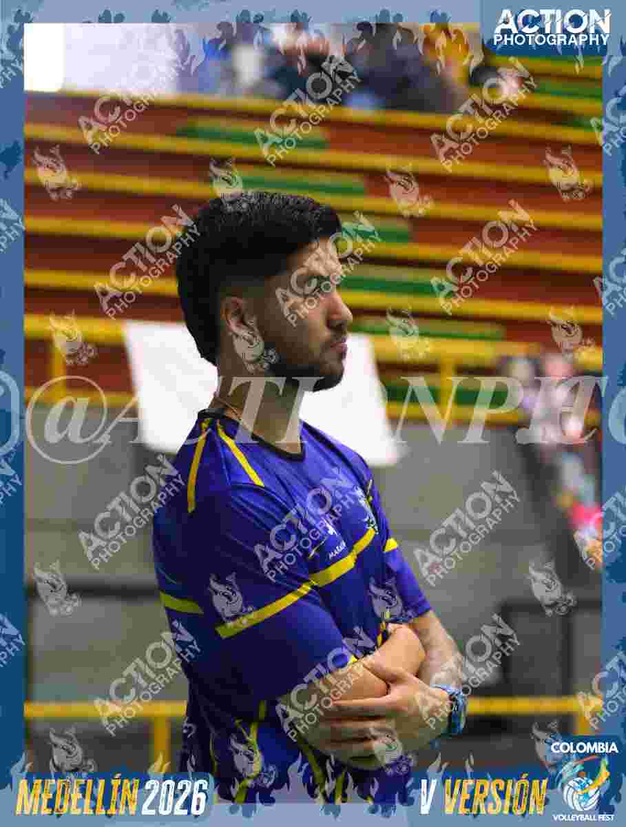 Preview de TIGRES D