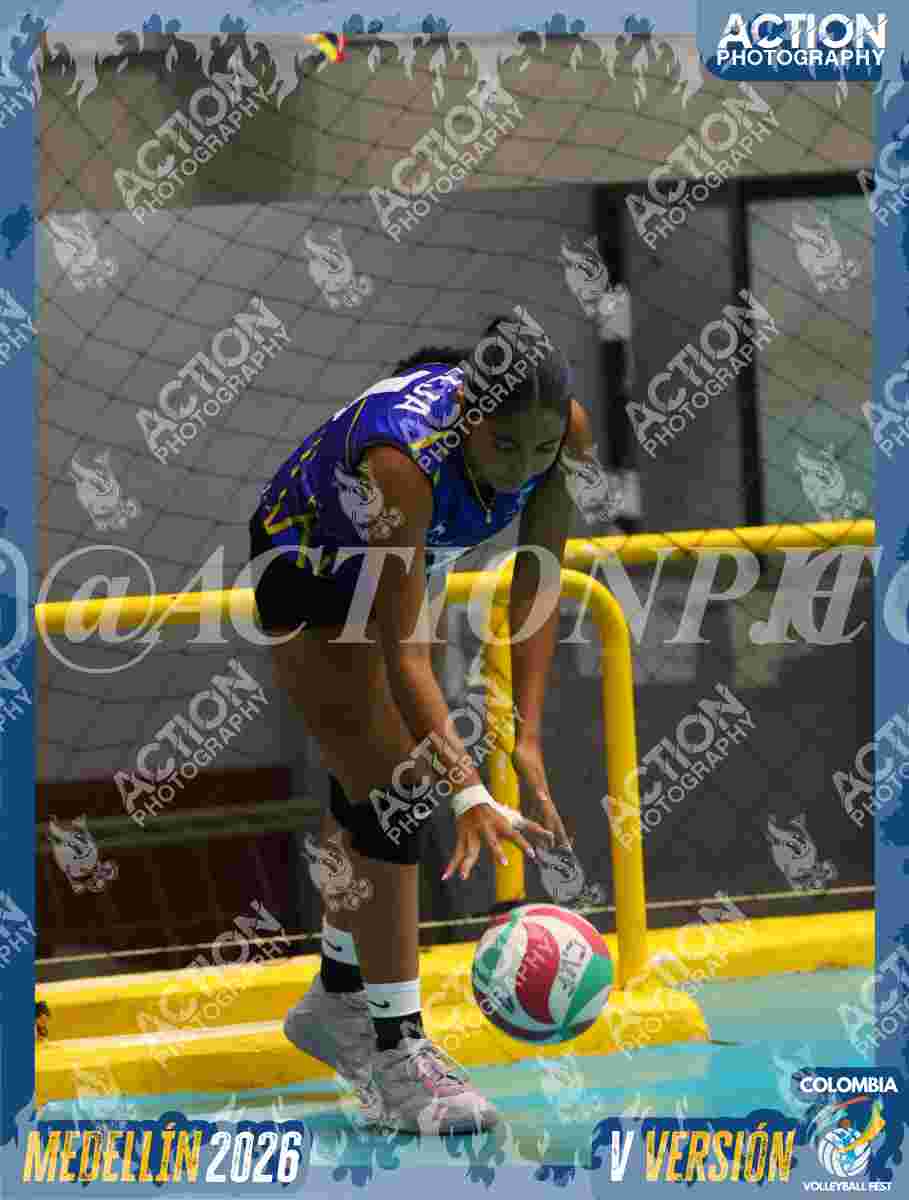 TIGRES D Foto 7