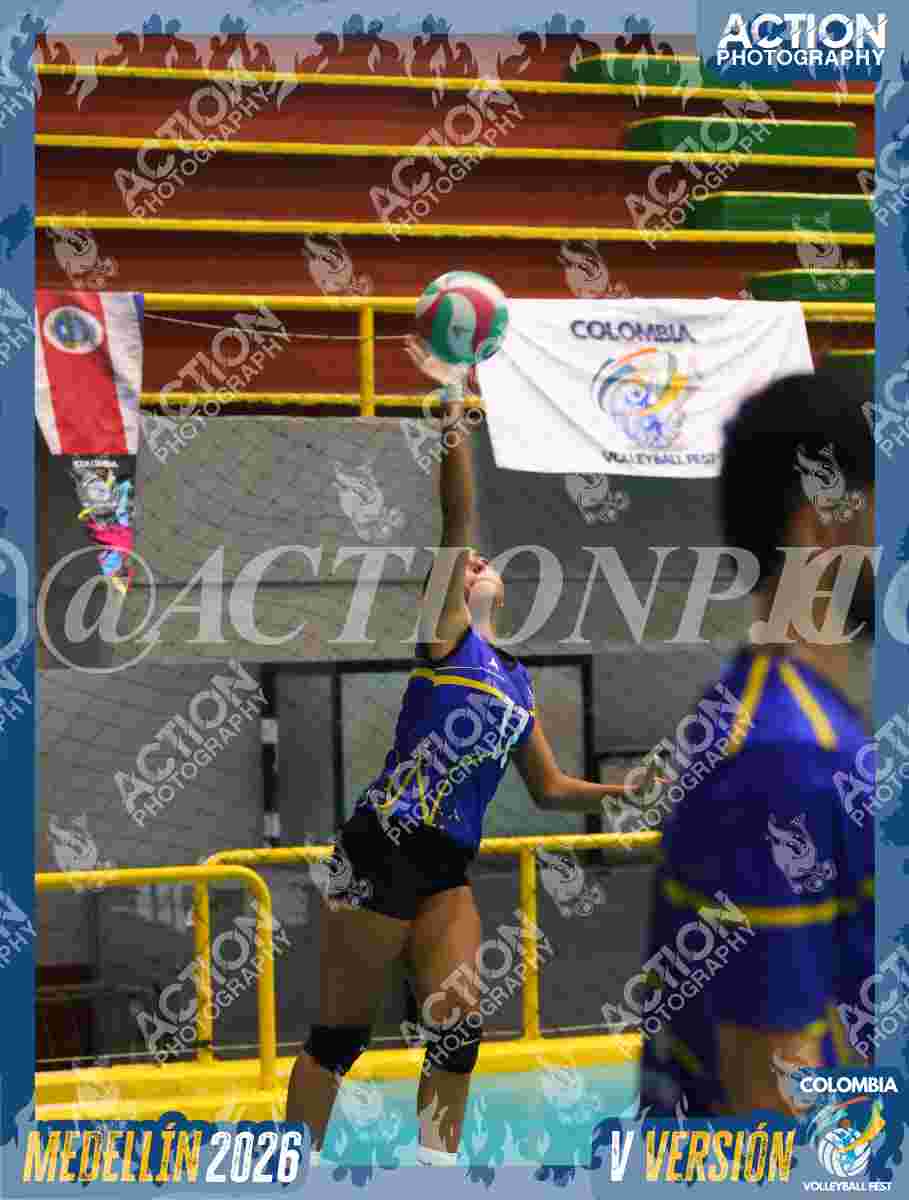 TIGRES D Foto 7