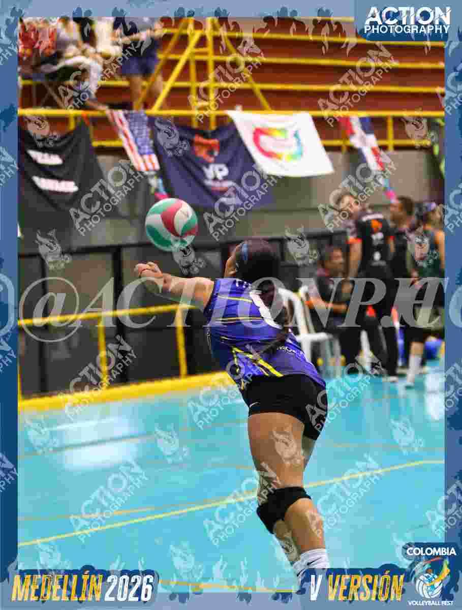 TIGRES D Foto 17