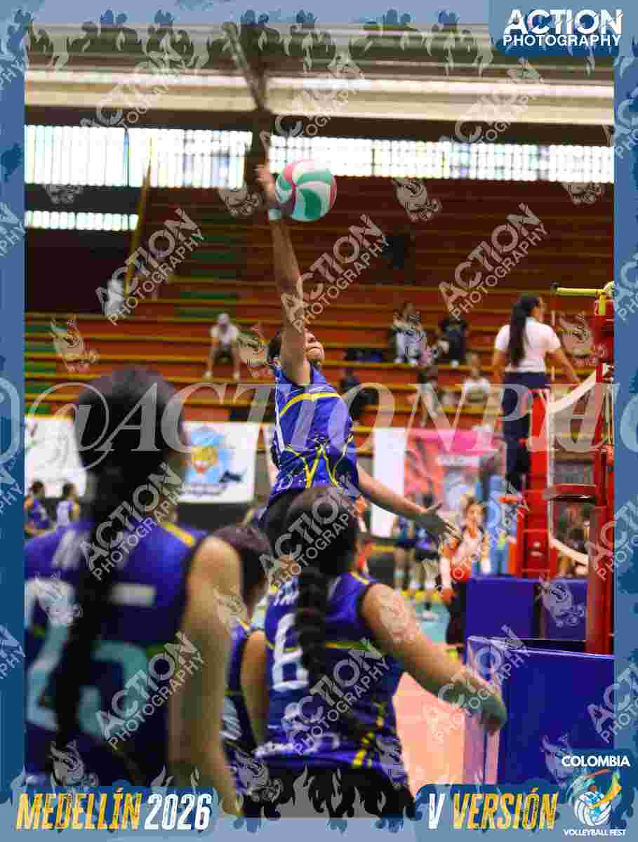Preview de TIGRES D