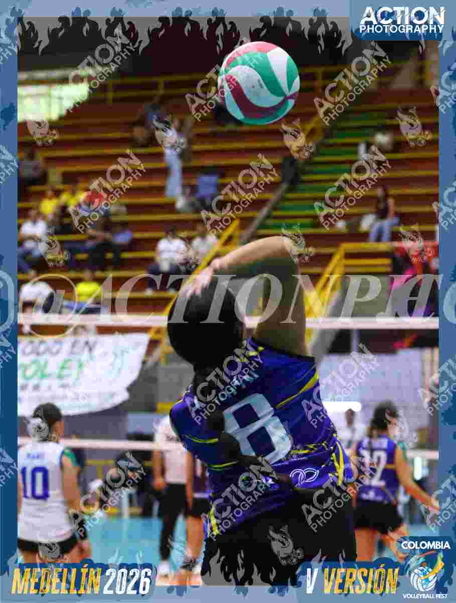 TIGRES D Foto 4