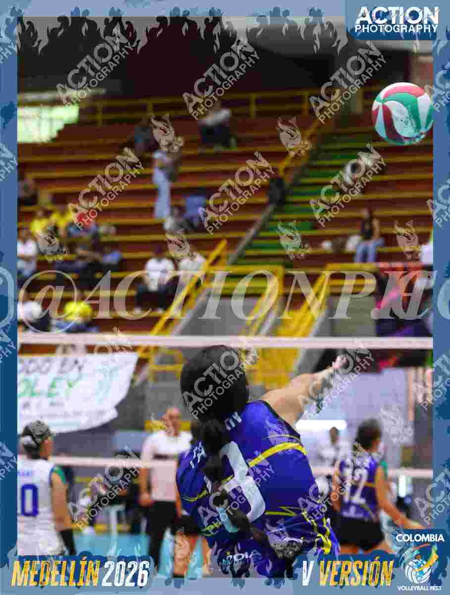 TIGRES D Foto 4