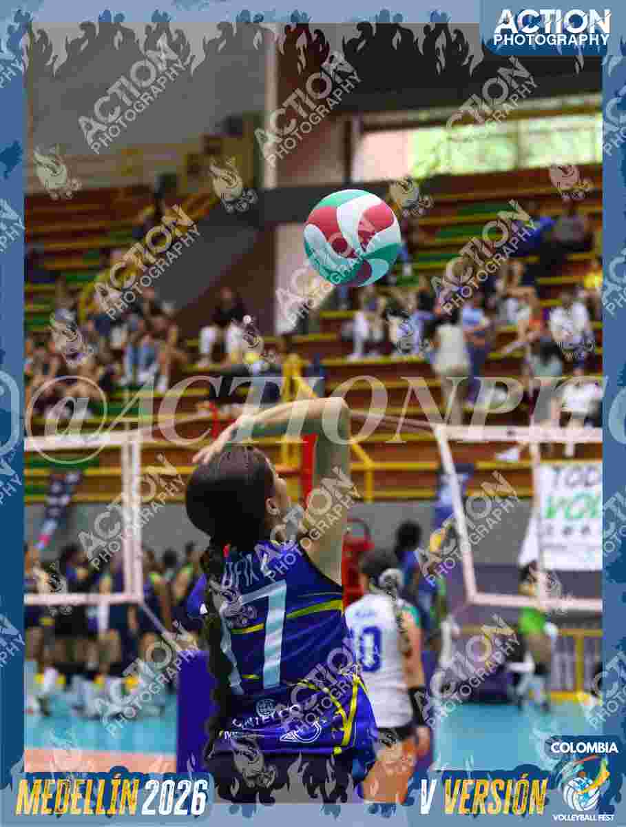 TIGRES D Foto 12