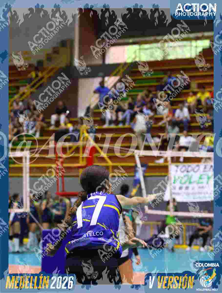 TIGRES D Foto 4