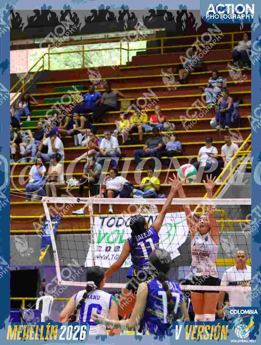 TIGRES D Foto 12