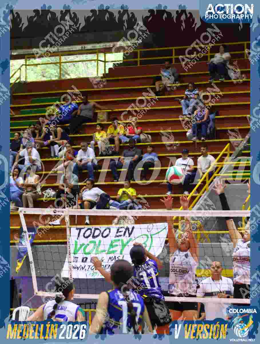 TIGRES D Foto 12