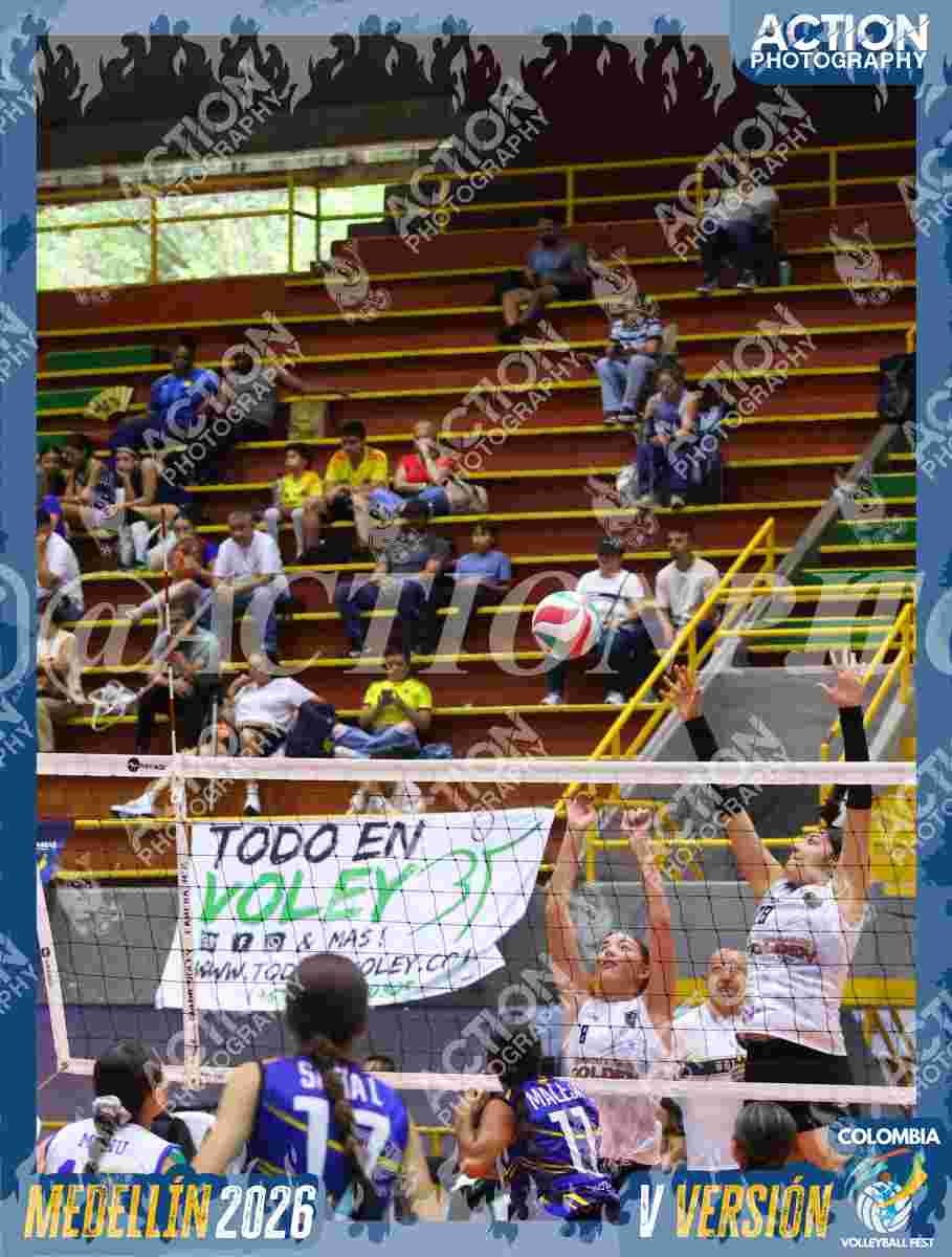 TIGRES D Foto 4