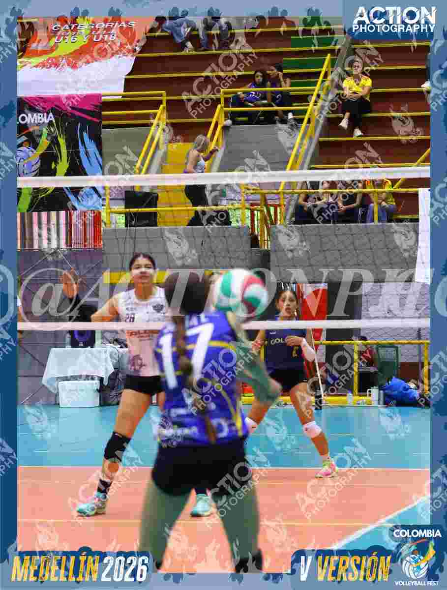 TIGRES D Foto 12