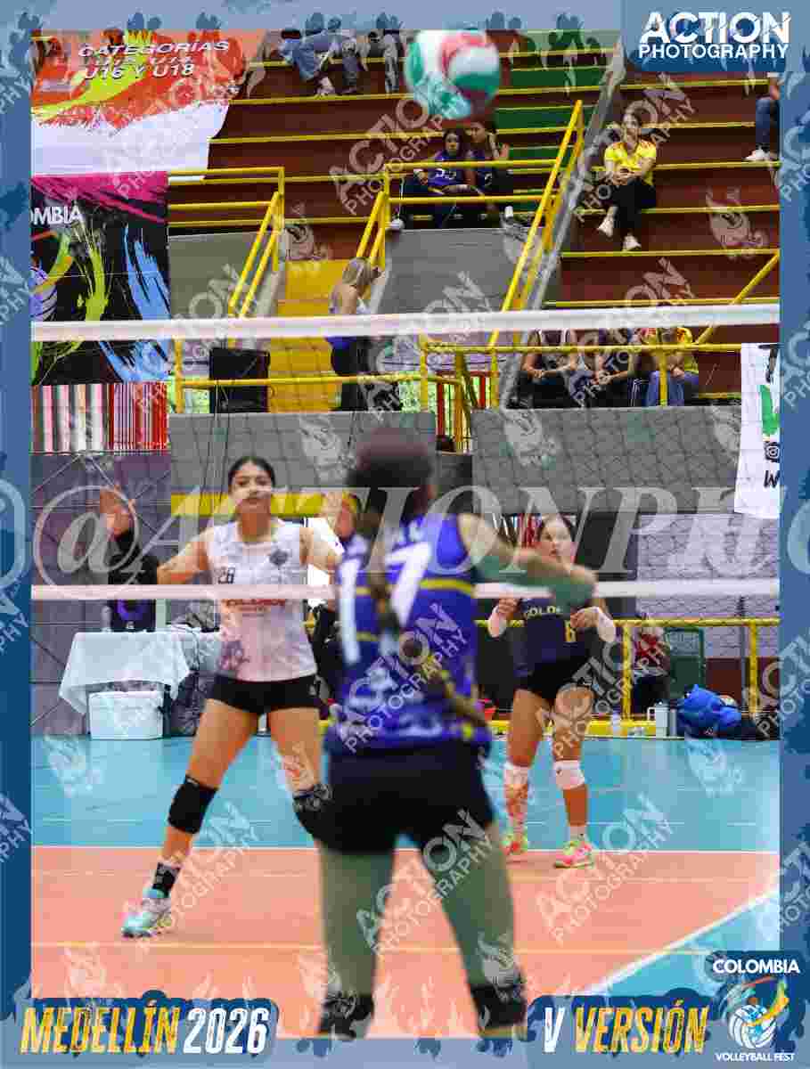 TIGRES D Foto 12