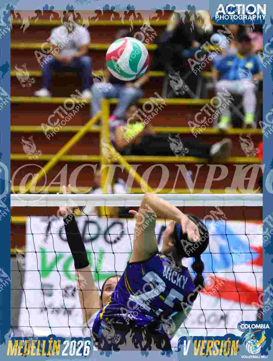 TIGRES D Foto 12