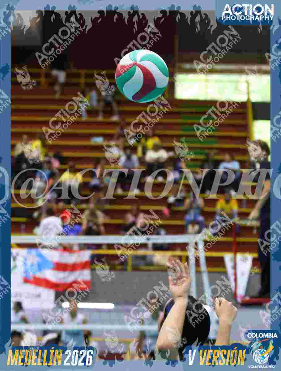 TIGRES D Foto 12