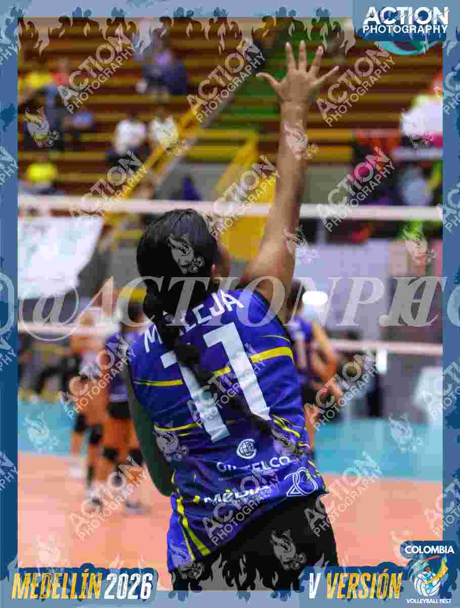 Preview de TIGRES D