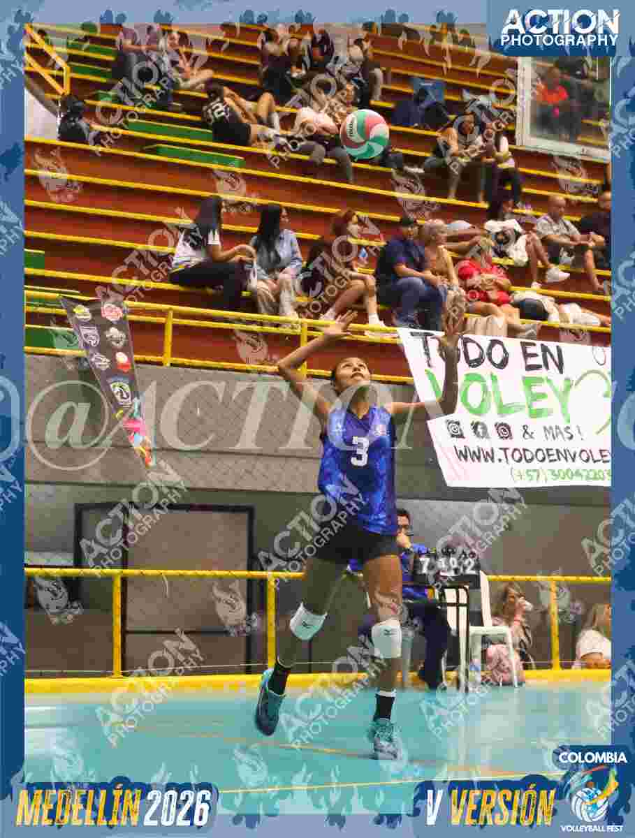 TIGRES S Foto 7