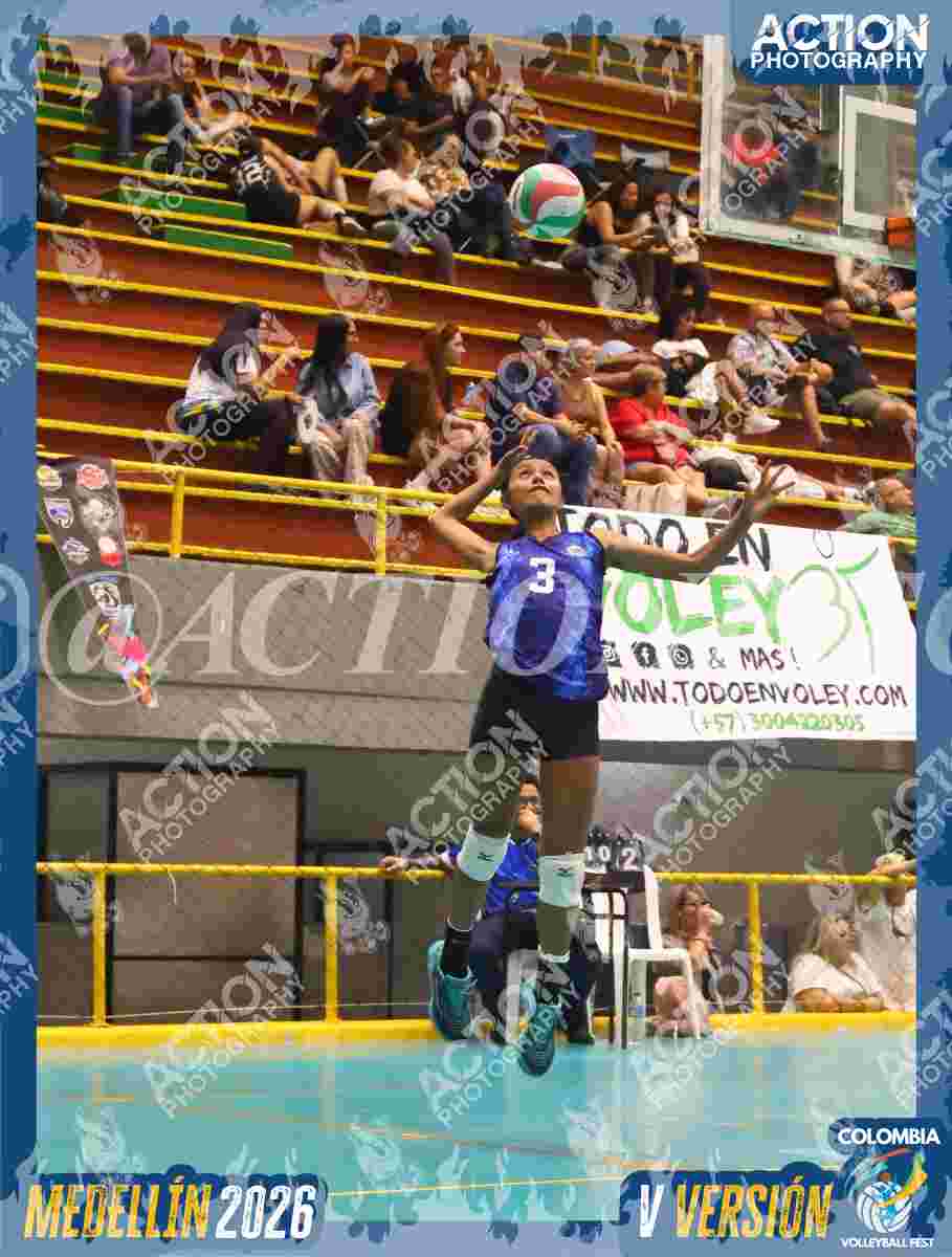 TIGRES S Foto 1