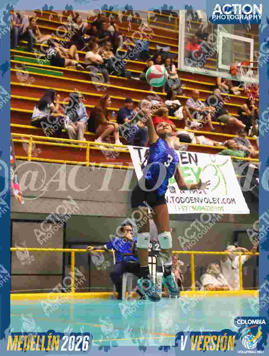 TIGRES S Foto 1