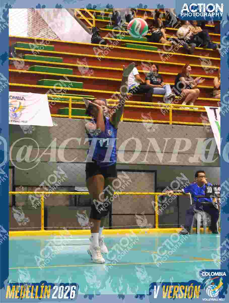 Preview de TIGRES S
