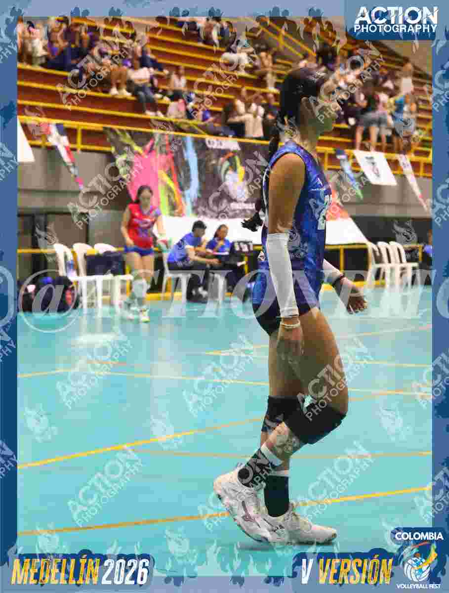 TIGRES S Foto 1