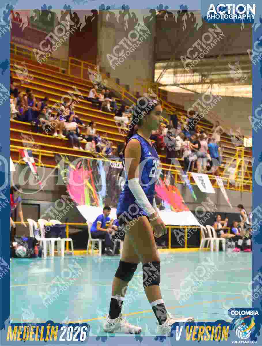 TIGRES S Foto 1