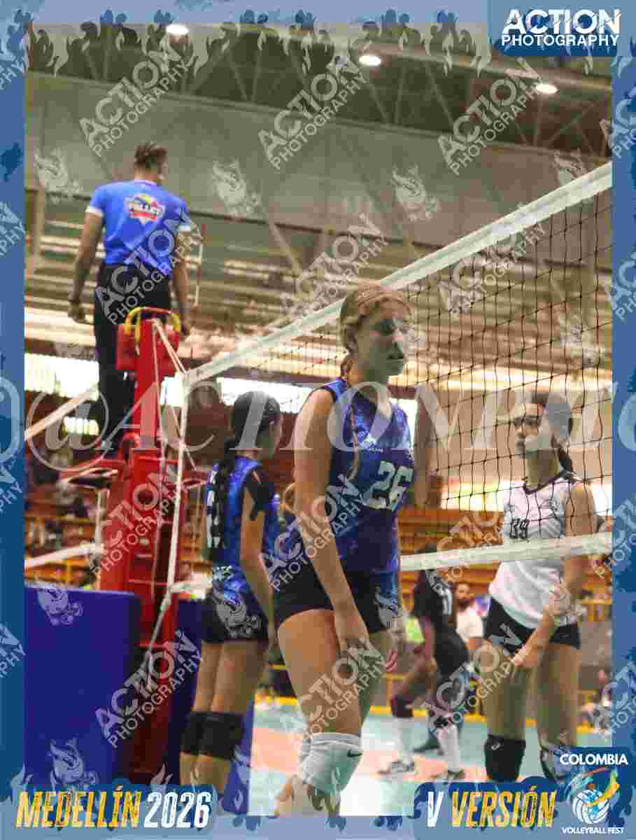 TIGRES S Foto 7