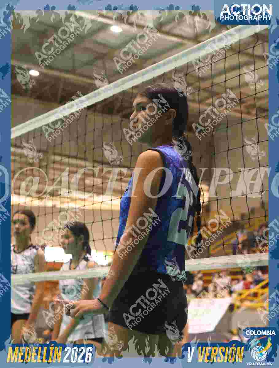 TIGRES S Foto 7