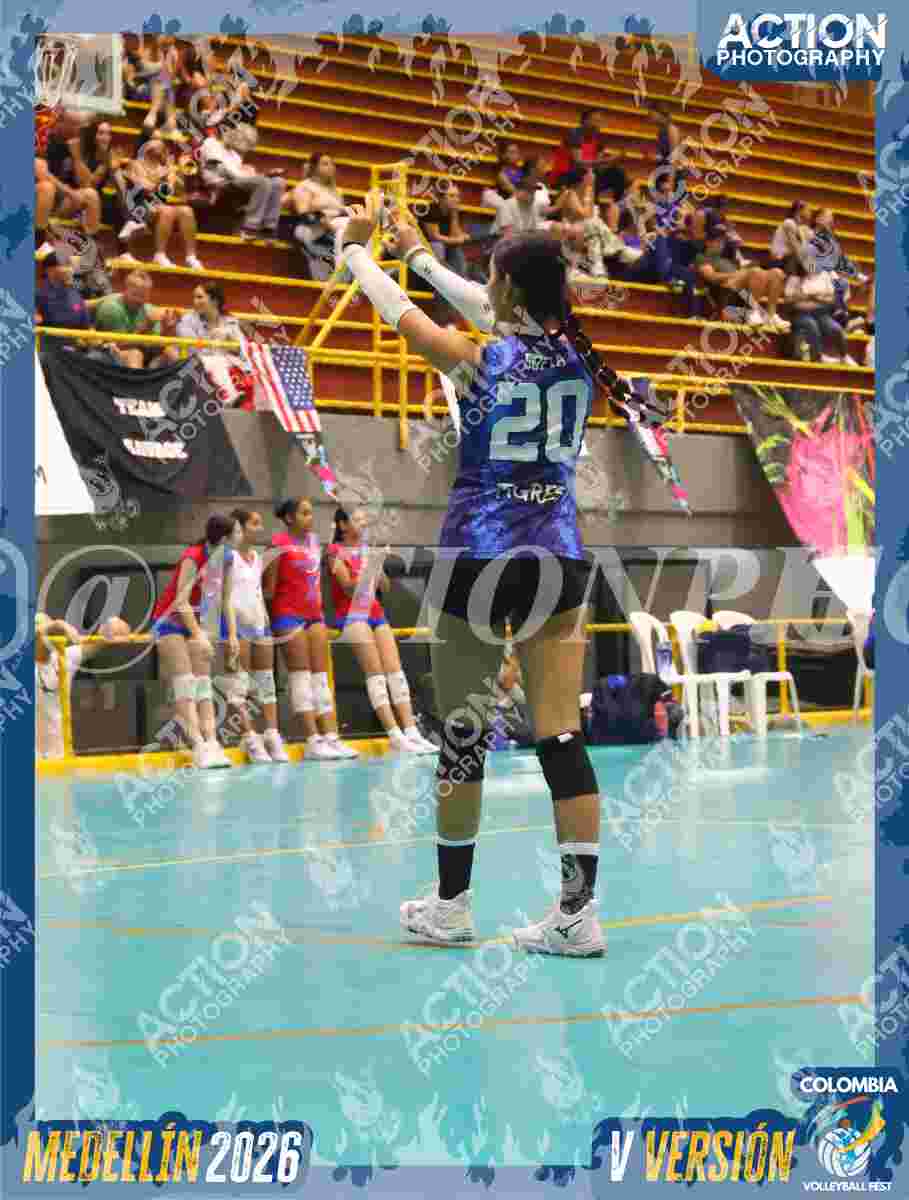 TIGRES S Foto 17