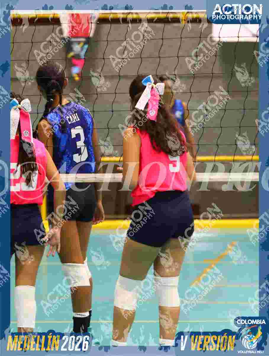 Preview de HEREDERAS