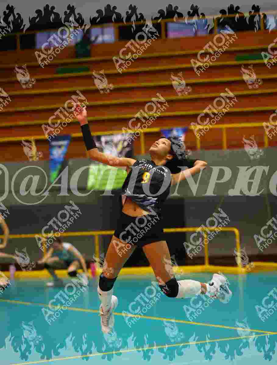 Preview de RIO GRANDE