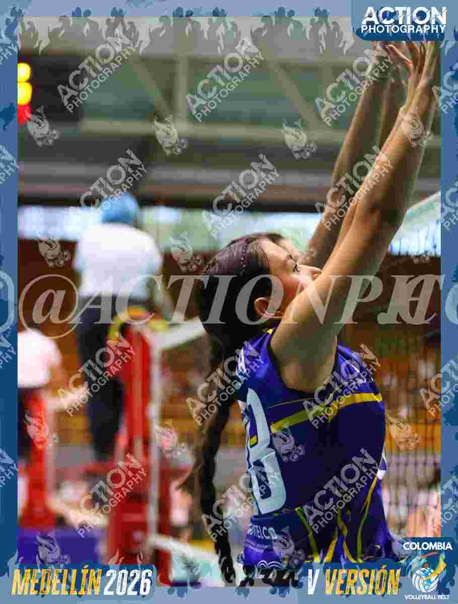 TIGRES D Foto 11