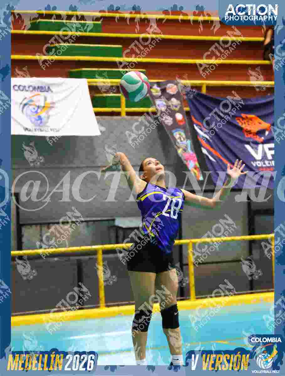 TIGRES D Foto 11