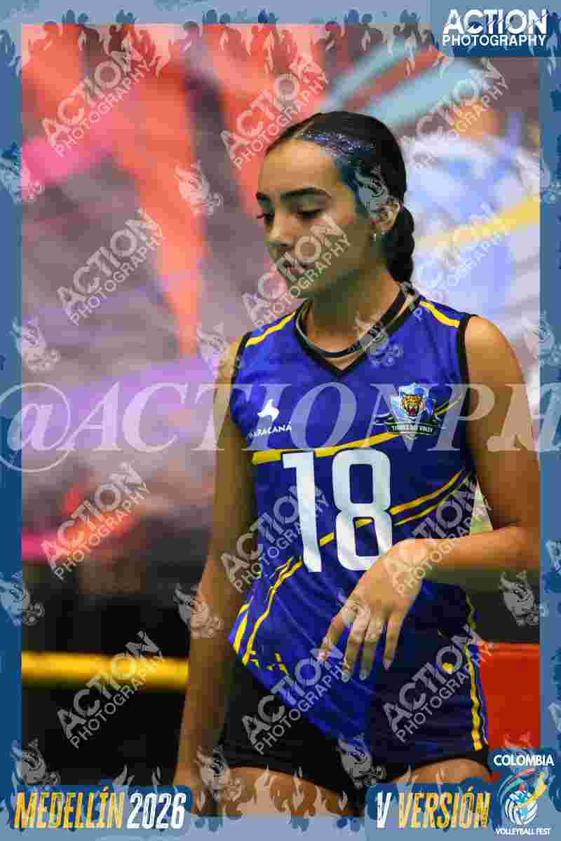 TIGRES F Foto 1