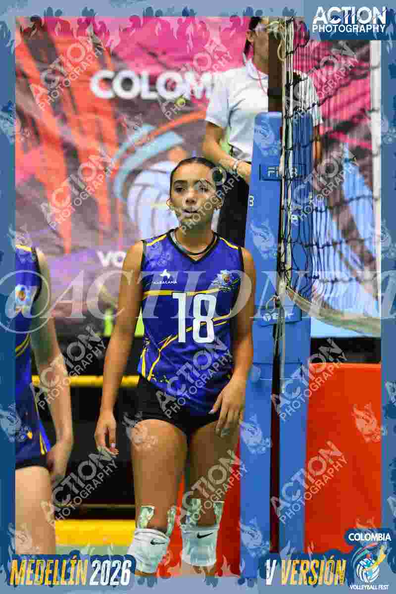 TIGRES F Foto 1