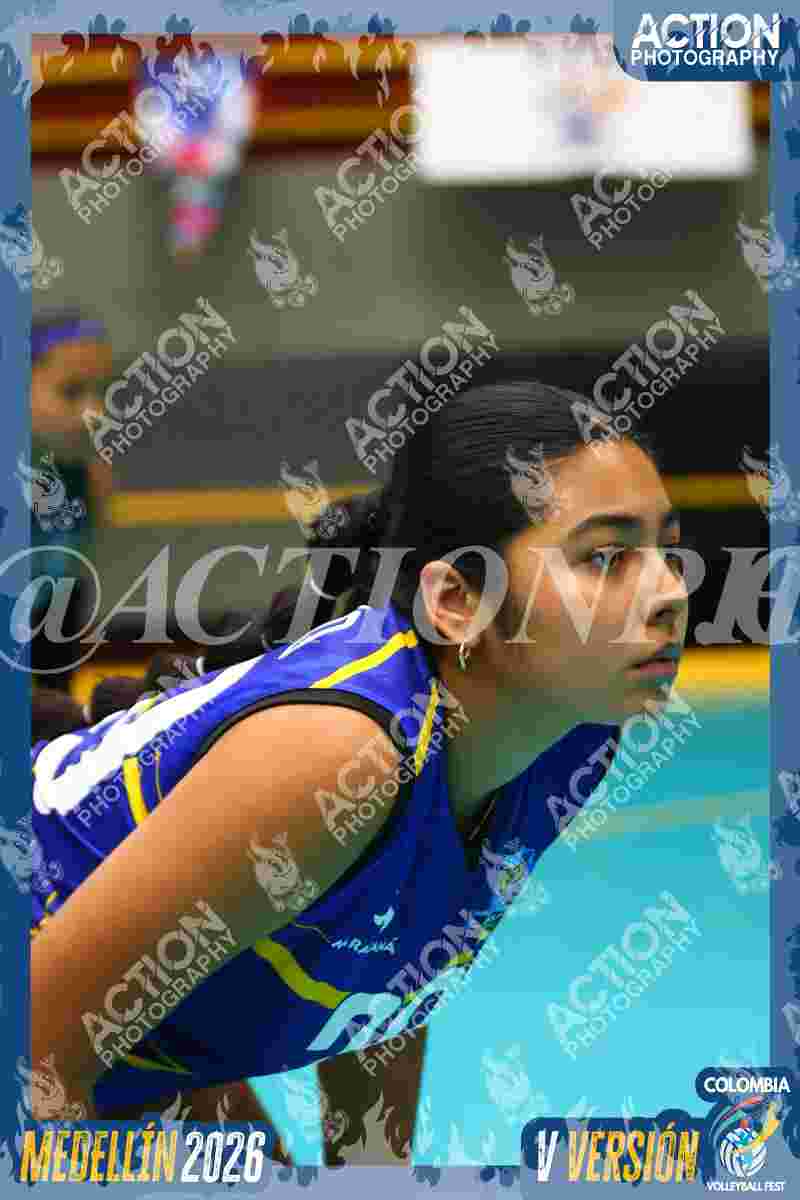 TIGRES F Foto 12