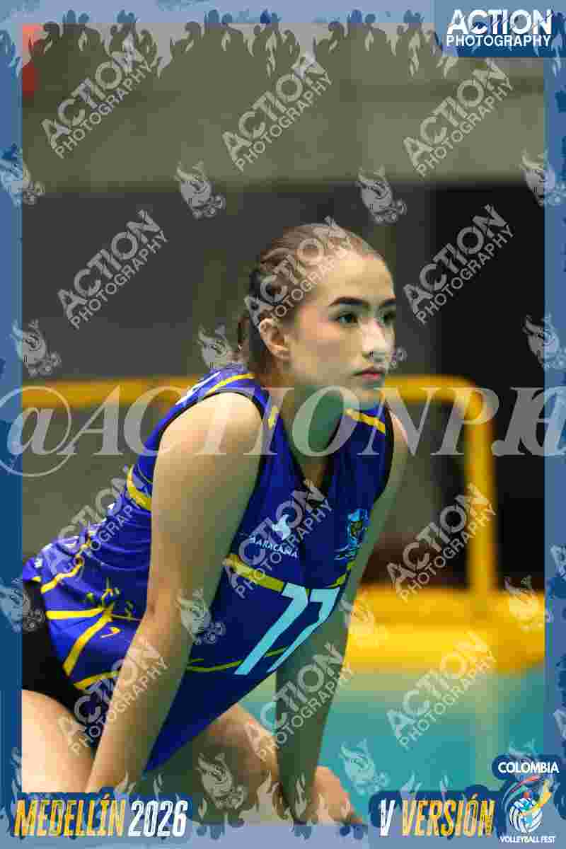 TIGRES F Foto 4