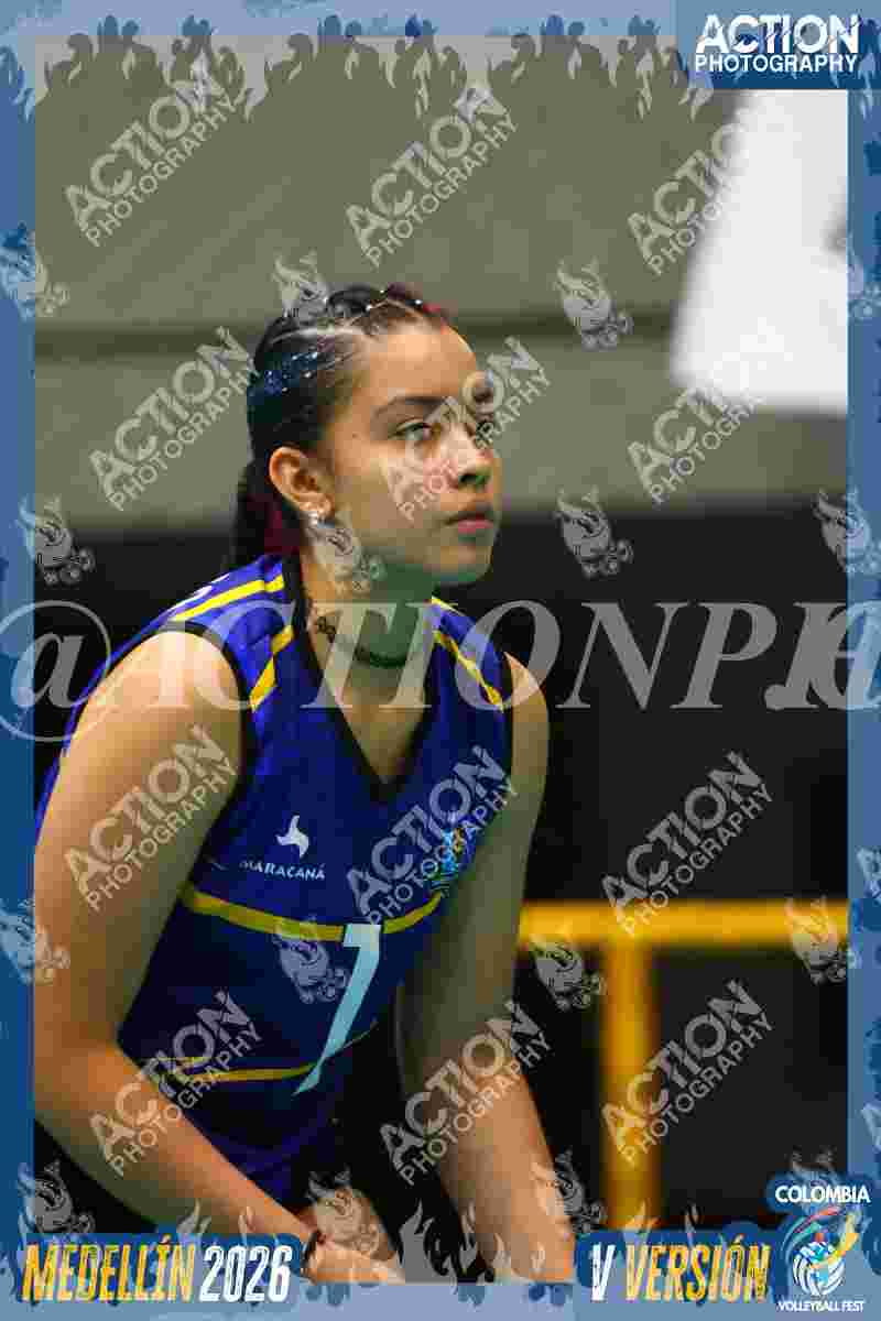 TIGRES F Foto 4