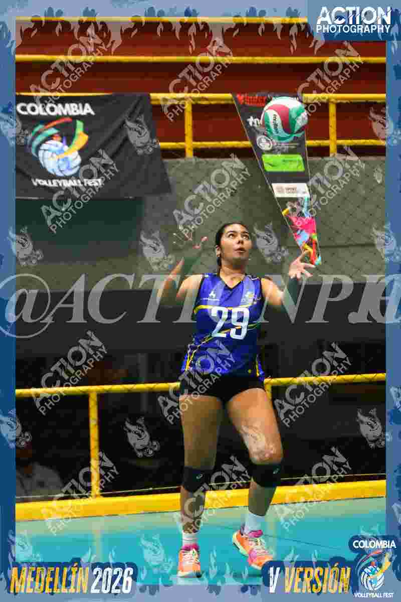 TIGRES F Foto 4