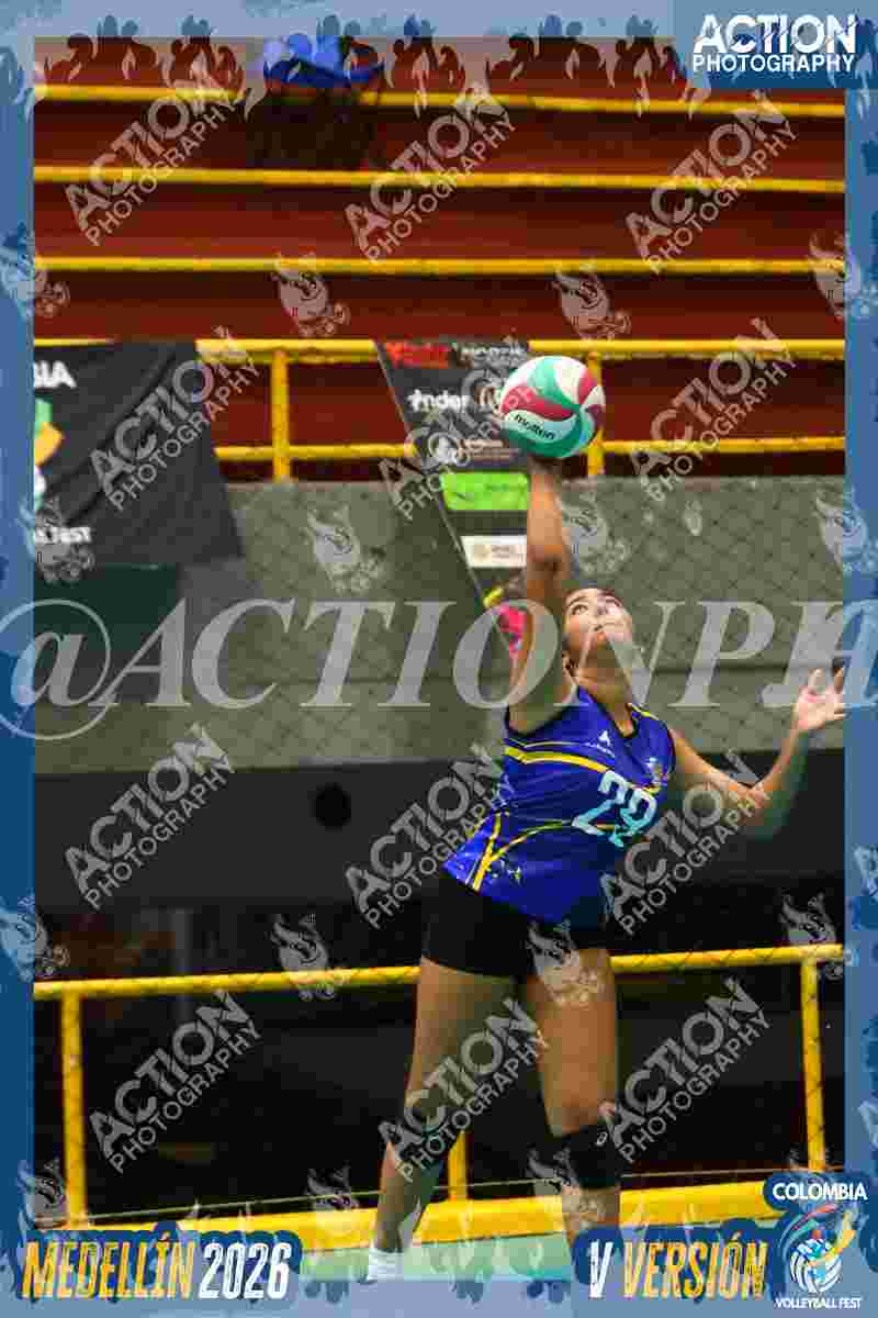 TIGRES F Foto 1