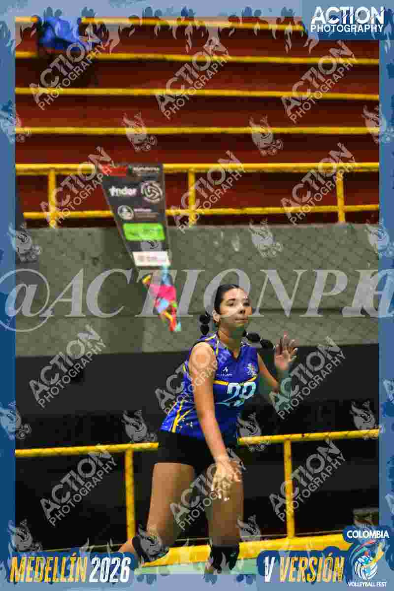 TIGRES F Foto 12