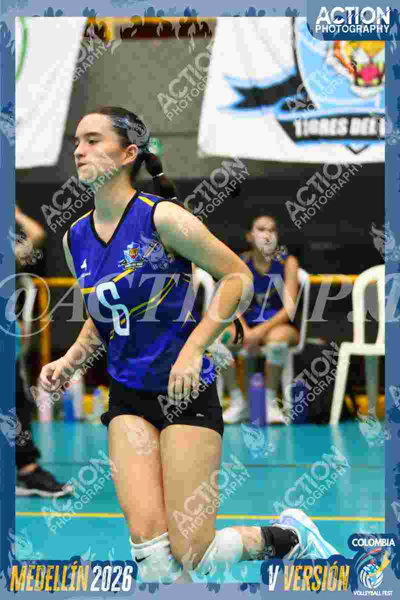 TIGRES F Foto 4