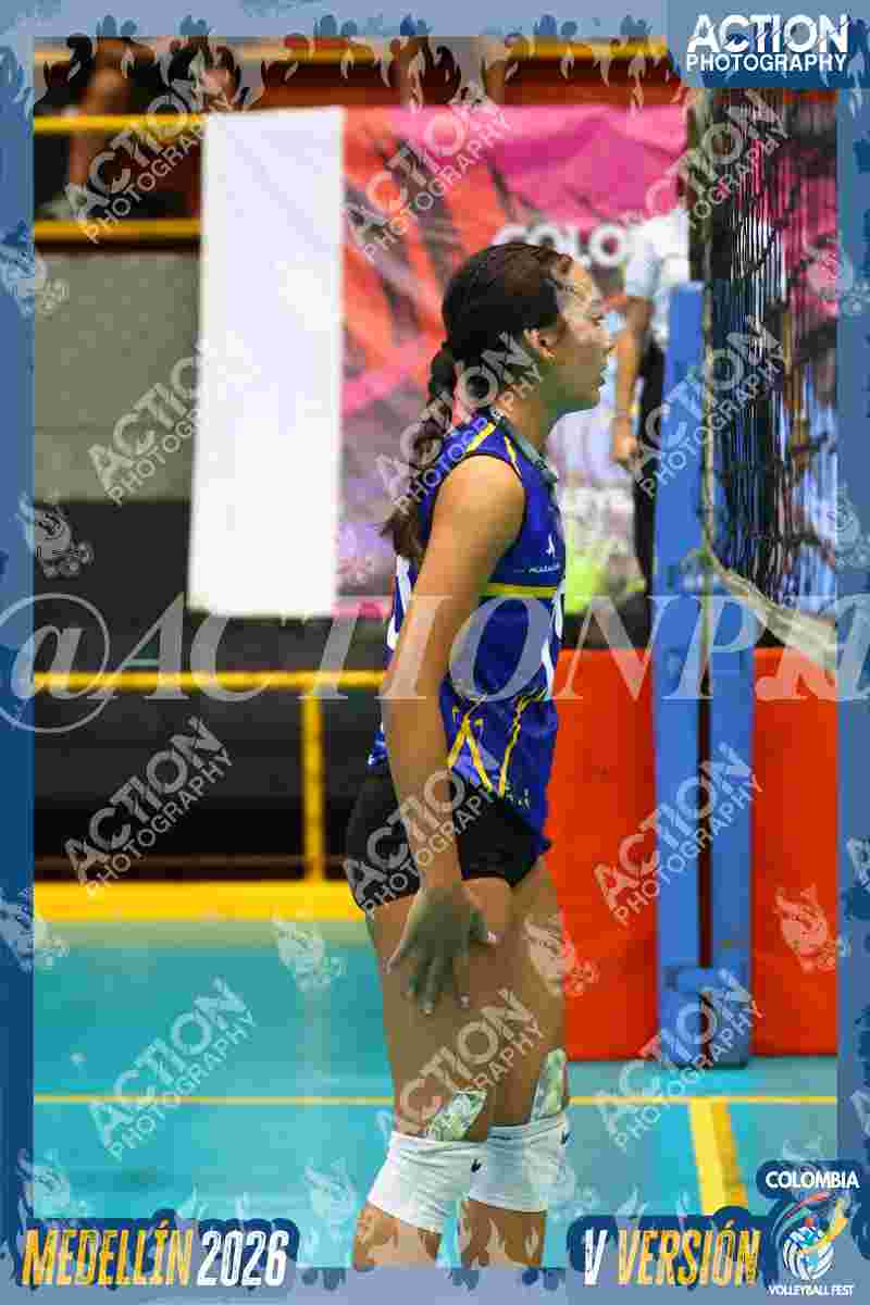 TIGRES F Foto 4