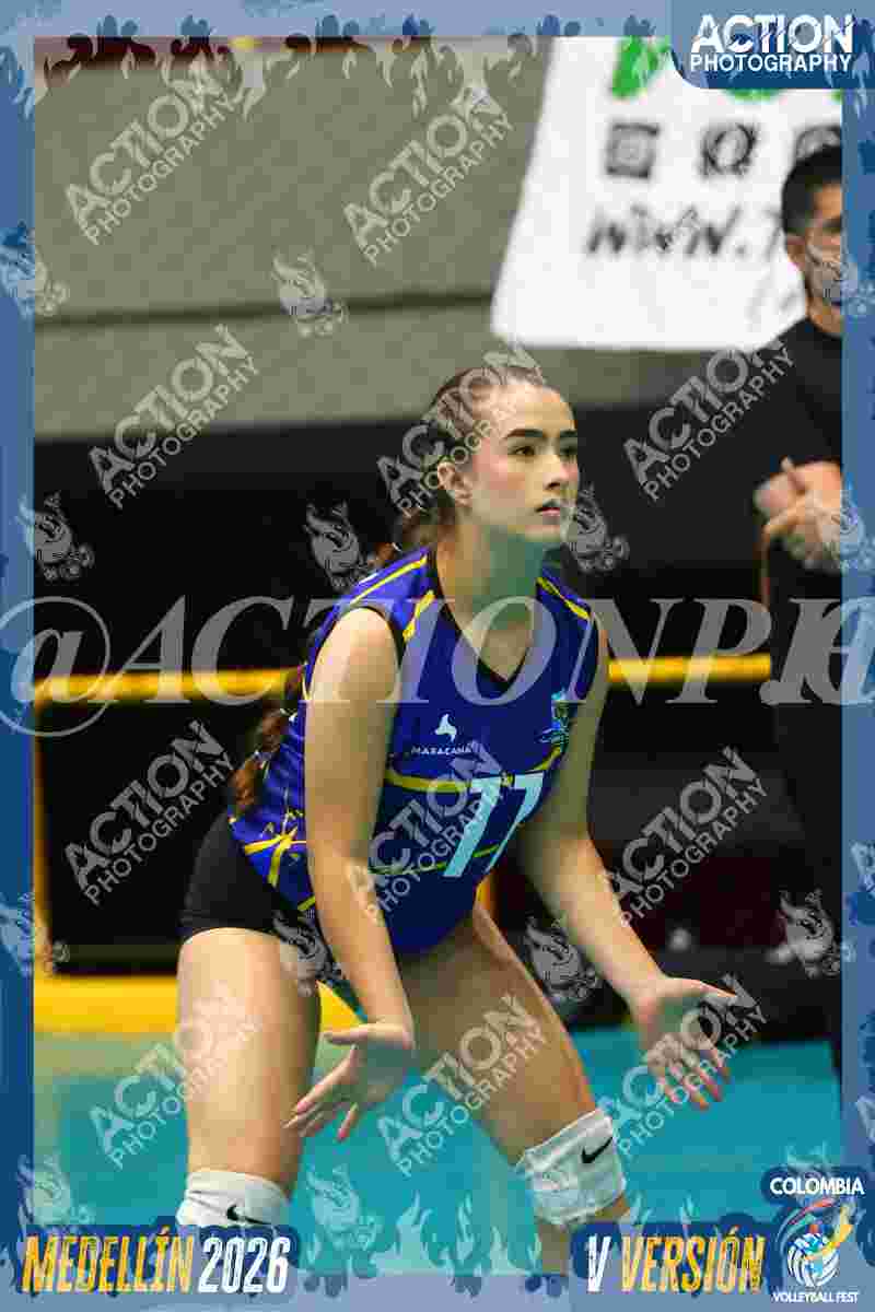 TIGRES F Foto 4