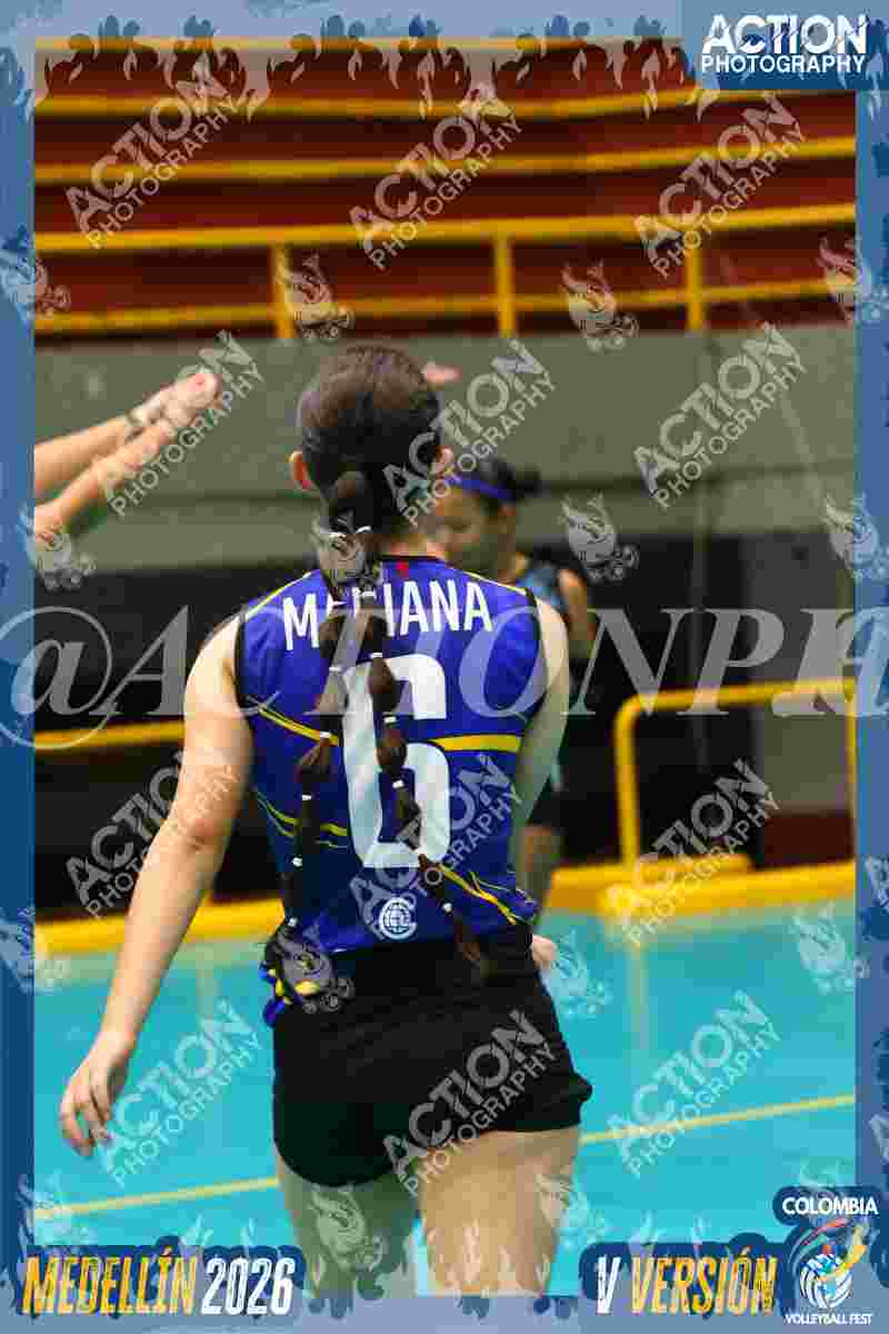 TIGRES F Foto 12