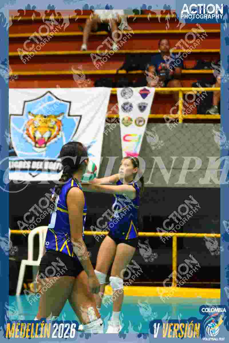 TIGRES F Foto 12