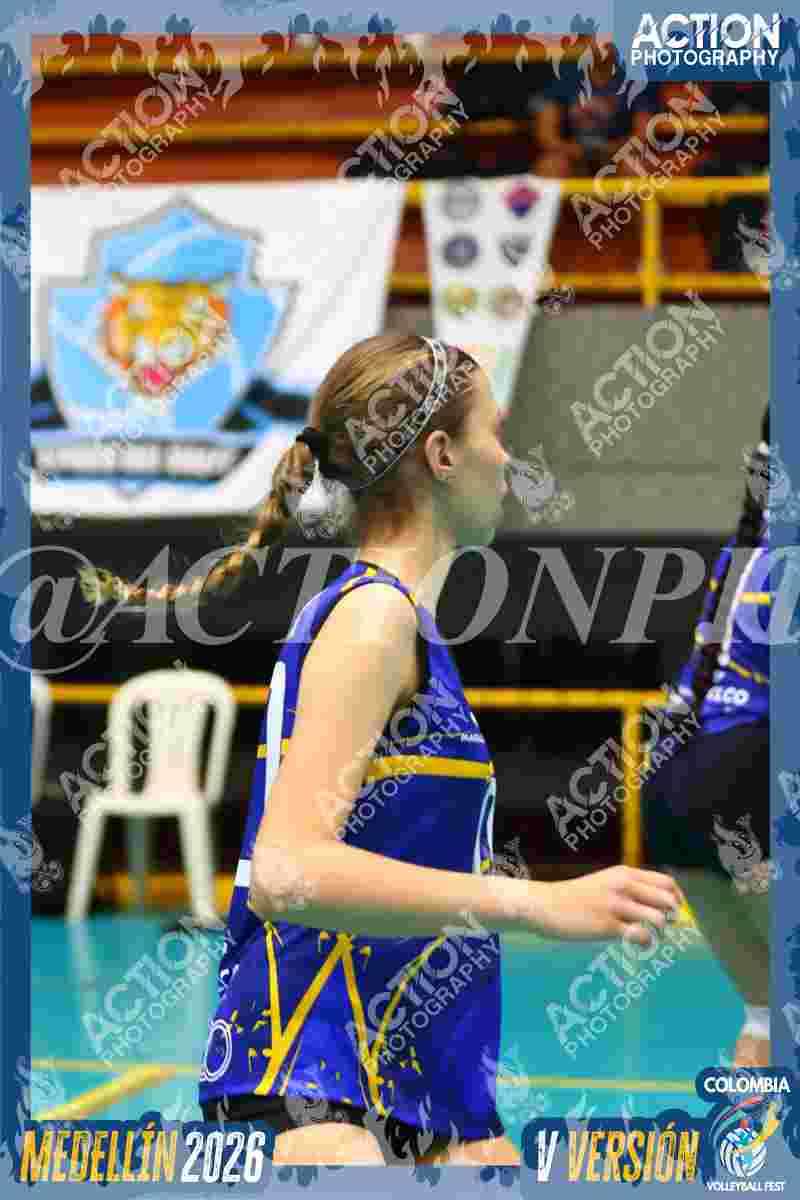 TIGRES F Foto 12